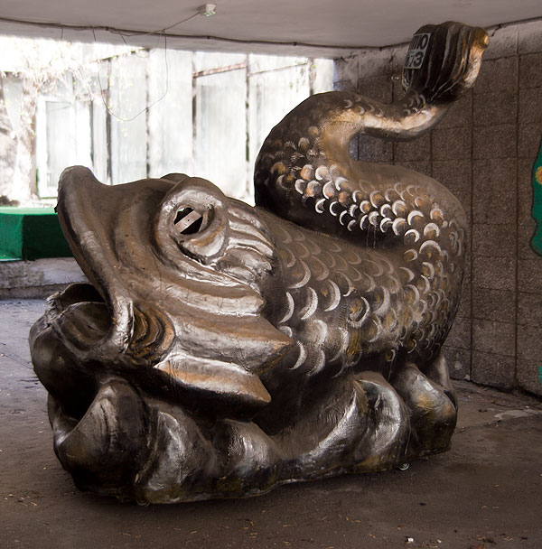 золотая рыбка