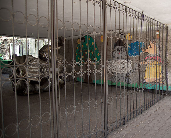 золотая рыбка