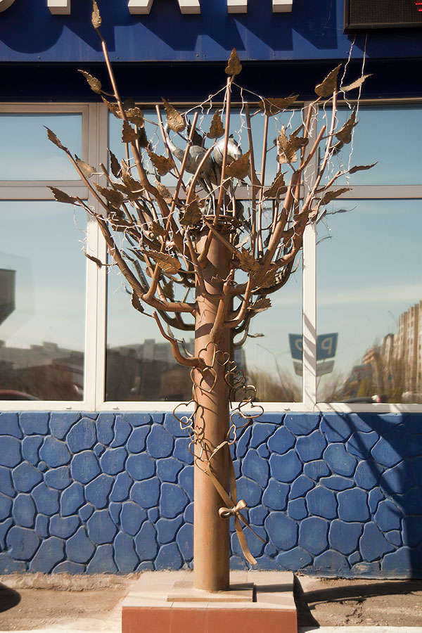 еще одно дерево