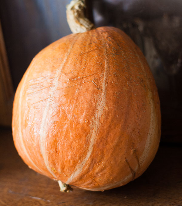 тыква-красавица